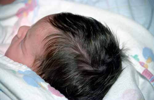 Madison 10-hrs old017